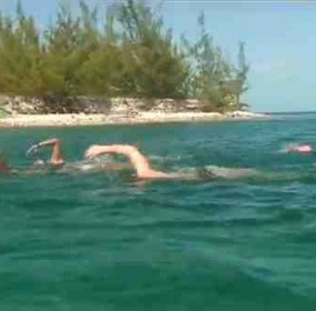swim swim