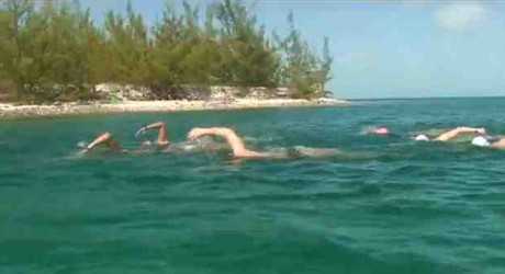 swim