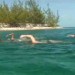 swim