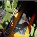 p51