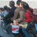 bucket