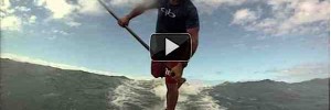 spin spin